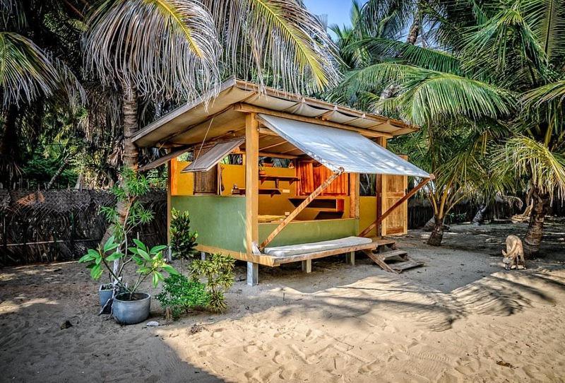 Kite House Cafe Bed and Breakfast Kalpitiya Exteriör bild