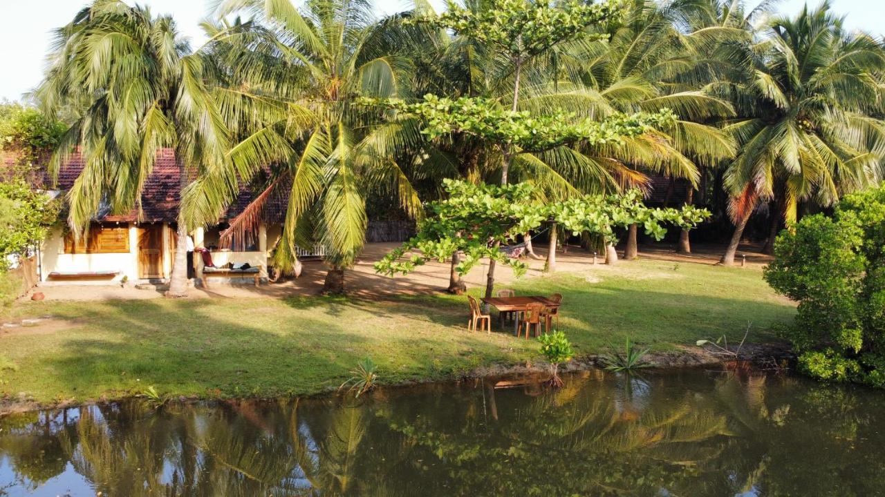 Kite House Cafe Bed and Breakfast Kalpitiya Exteriör bild