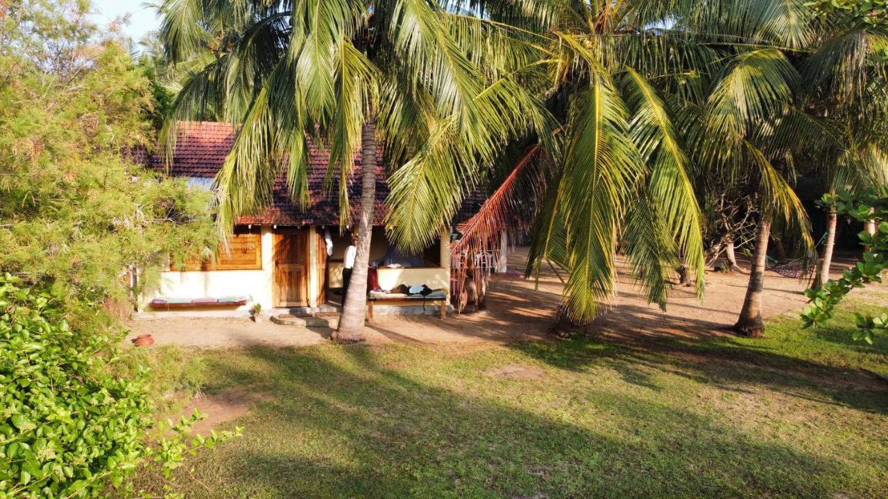 Kite House Cafe Bed and Breakfast Kalpitiya Exteriör bild
