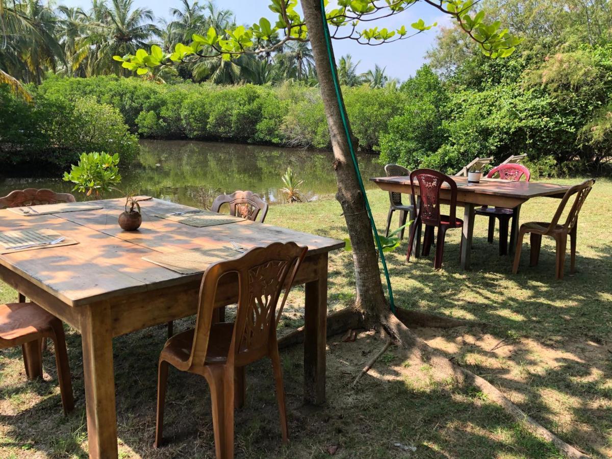 Kite House Cafe Bed and Breakfast Kalpitiya Exteriör bild