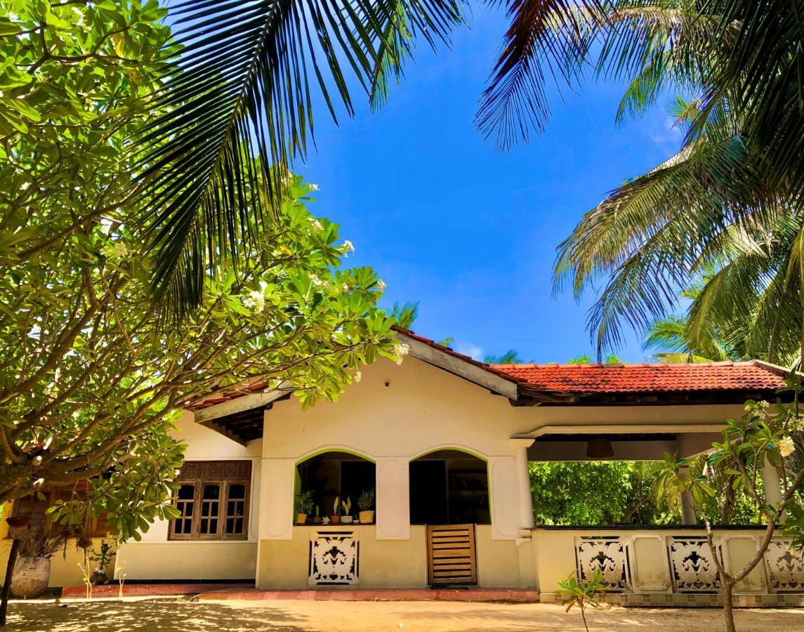 Kite House Cafe Bed and Breakfast Kalpitiya Exteriör bild