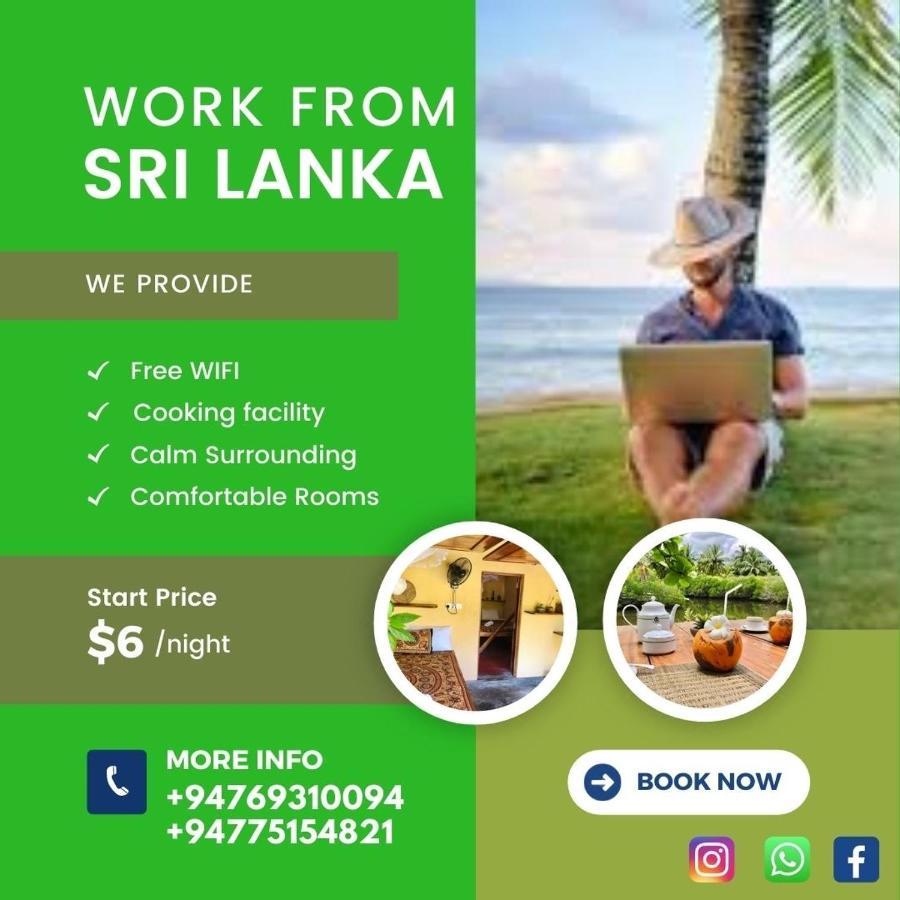 Kite House Cafe Bed and Breakfast Kalpitiya Exteriör bild